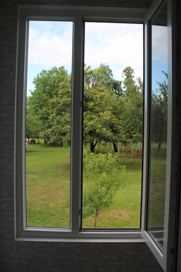 Beautiful Georgia Guesthouse Didi Jikhaishi Exteriör bild